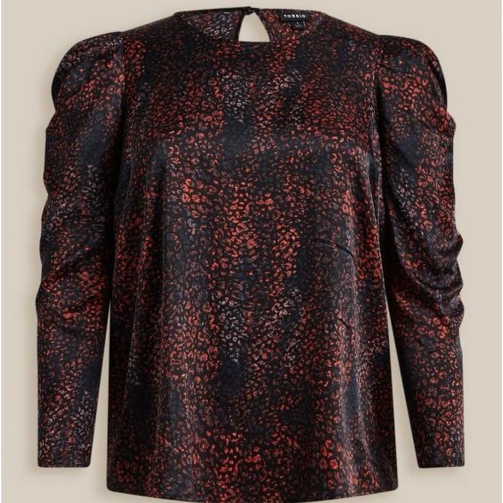 New Satin Puff Long Sleeve Top